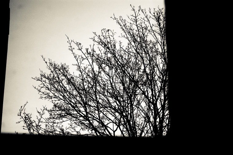 © Morning in Berlin by Fritsch, 2008