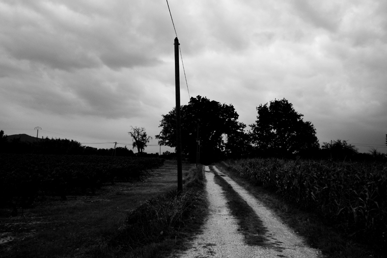 © Backroad near Vaison-La-Romaine by Fritsch, 2008