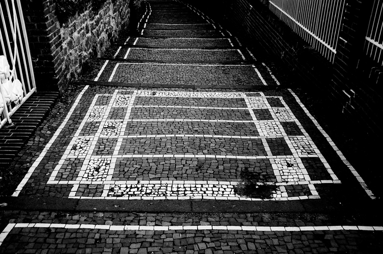 © Deutsche Akademie für Sprache & Dichtung 2010 by Fritsch