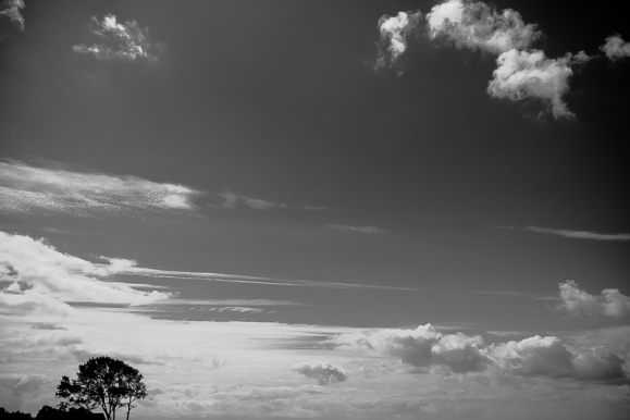 © Baum, Mecklenburg-Vorpommern, 2013, Florian Fritsch