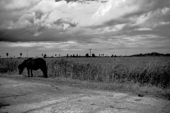 © Landstraße, Fischland, 2013, Florian Fritsch