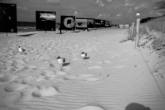 © Strand, Mecklenburg-Vorpommern, Florian Fritsch, 2013